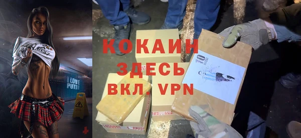 дмт Новозыбков