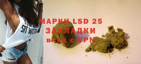 тгк Новодвинск