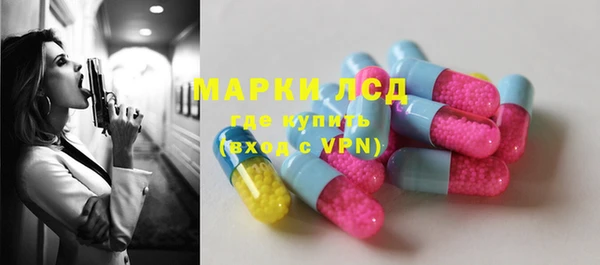 тгк Новодвинск