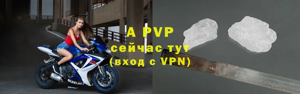 дмт Новозыбков