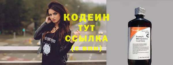 дмт Новозыбков