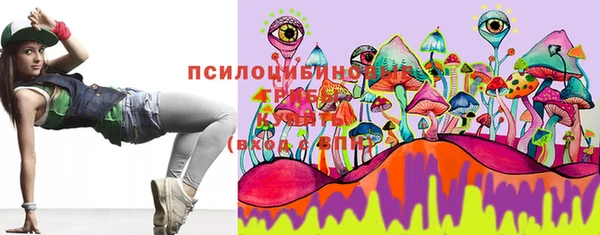 тгк Новодвинск